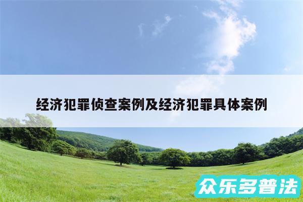 经济犯罪侦查案例及经济犯罪具体案例