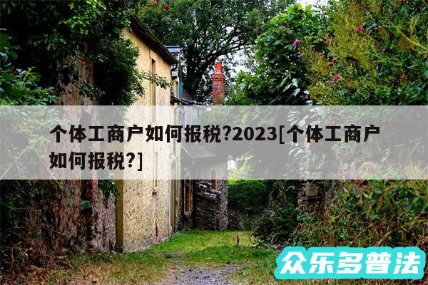 个体工商户如何报税?2024及个体工商户如何报税?