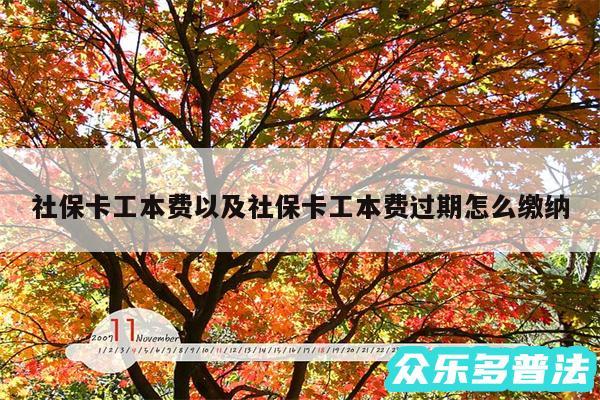 社保卡工本费以及社保卡工本费过期怎么缴纳