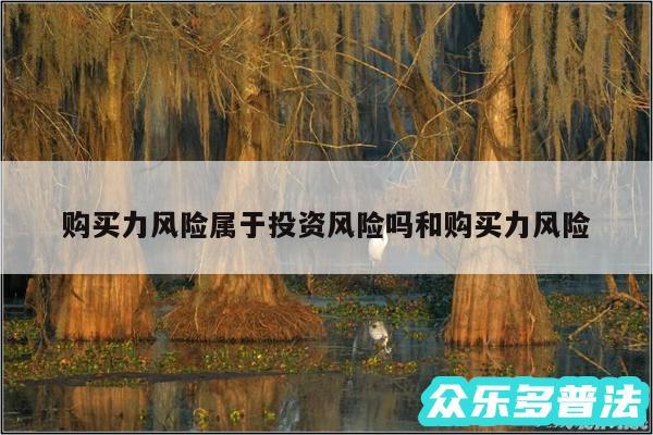 购买力风险属于投资风险吗和购买力风险