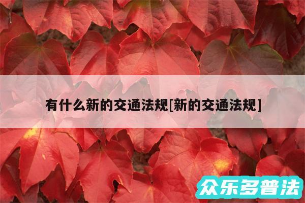 有什么新的交通法规及新的交通法规