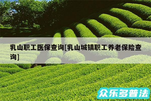 乳山职工医保查询及乳山城镇职工养老保险查询