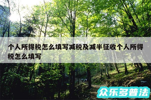 个人所得税怎么填写减税及减半征收个人所得税怎么填写
