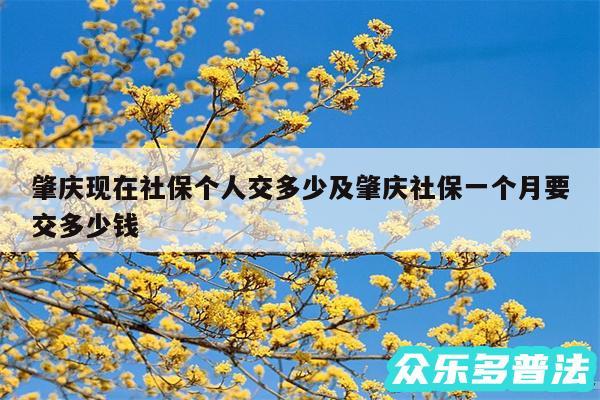 肇庆现在社保个人交多少及肇庆社保一个月要交多少钱
