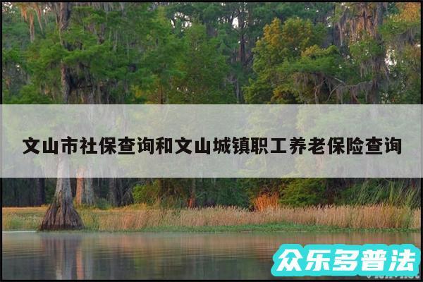 文山市社保查询和文山城镇职工养老保险查询