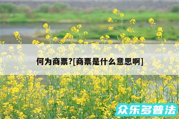 何为商票?及商票是什么意思啊