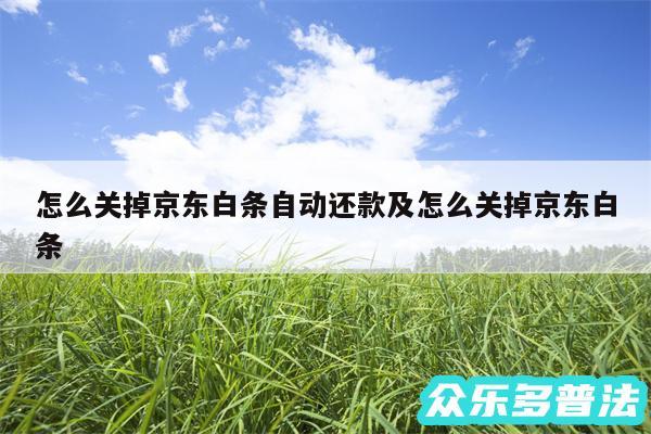 怎么关掉京东白条自动还款及怎么关掉京东白条
