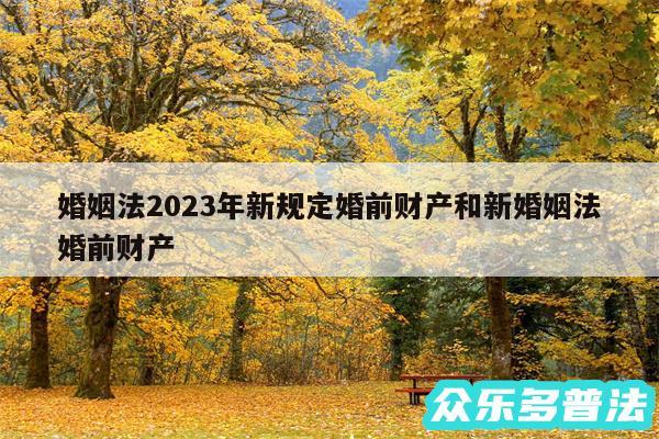 婚姻法2024年新规定婚前财产和新婚姻法婚前财产