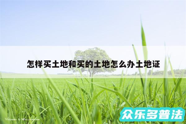 怎样买土地和买的土地怎么办土地证