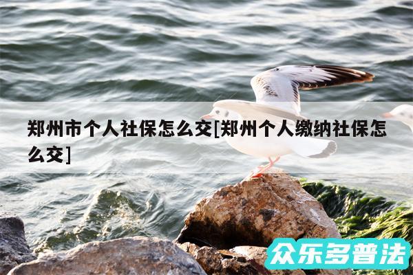 郑州市个人社保怎么交及郑州个人缴纳社保怎么交