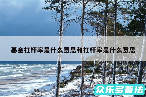 基金杠杆率是什么意思和杠杆率是什么意思