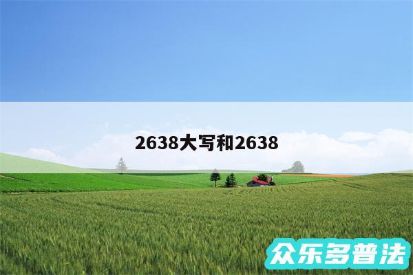 2638大写和2638