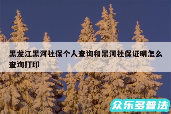 黑龙江黑河社保个人查询和黑河社保证明怎么查询打印
