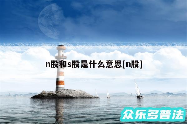 n股和s股是什么意思及n股