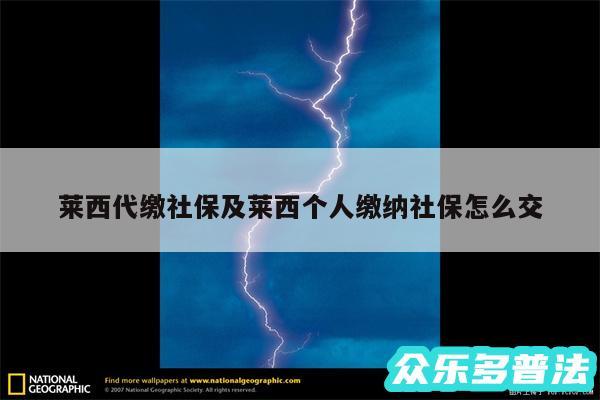 莱西代缴社保及莱西个人缴纳社保怎么交