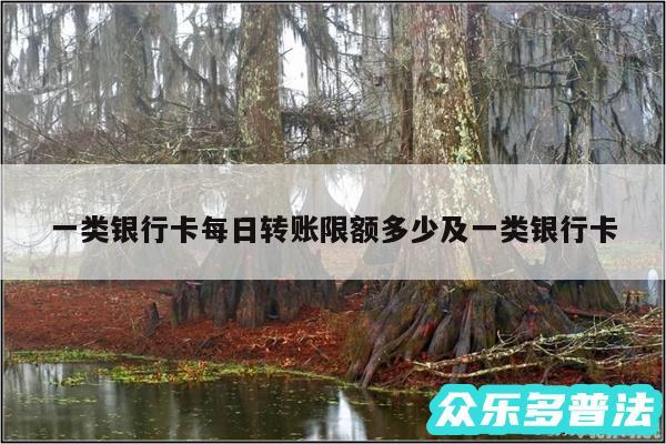 一类银行卡每日转账限额多少及一类银行卡