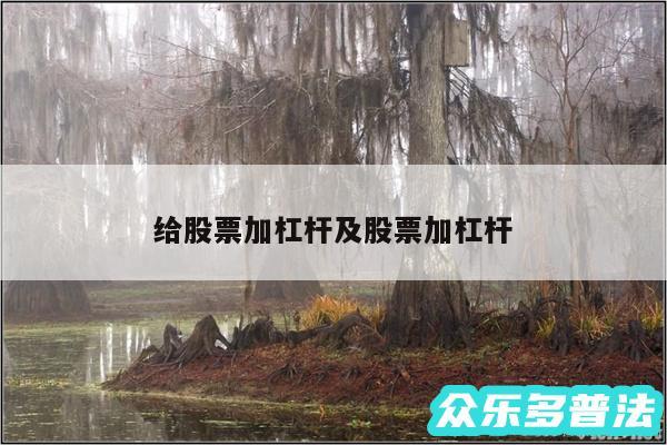 给股票加杠杆及股票加杠杆