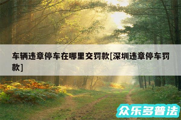 车辆违章停车在哪里交罚款及深圳违章停车罚款