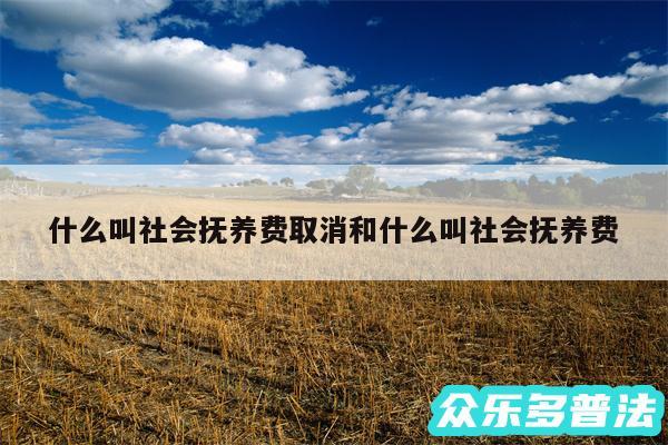 什么叫社会抚养费取消和什么叫社会抚养费