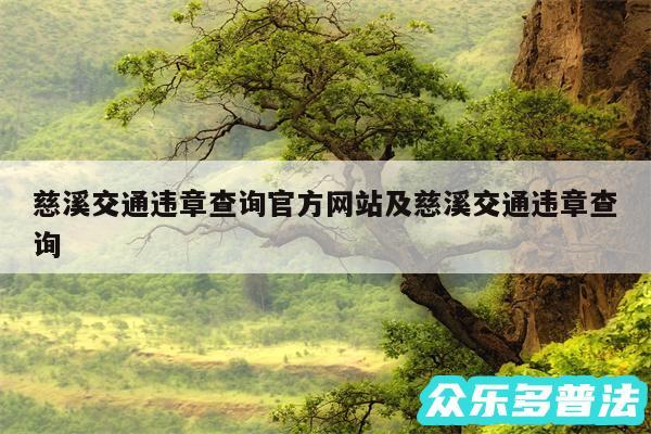 慈溪交通违章查询官方网站及慈溪交通违章查询