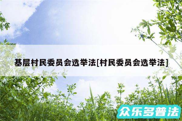 基层村民委员会选举法及村民委员会选举法