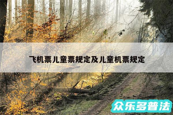 飞机票儿童票规定及儿童机票规定