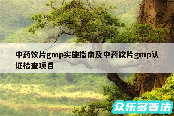 中药饮片gmp实施指南及中药饮片gmp认证检查项目