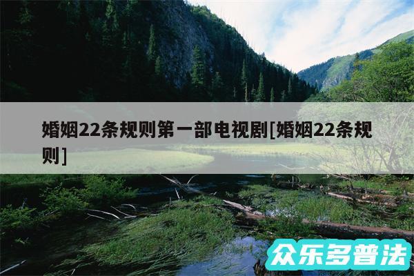 婚姻22条规则第一部电视剧及婚姻22条规则