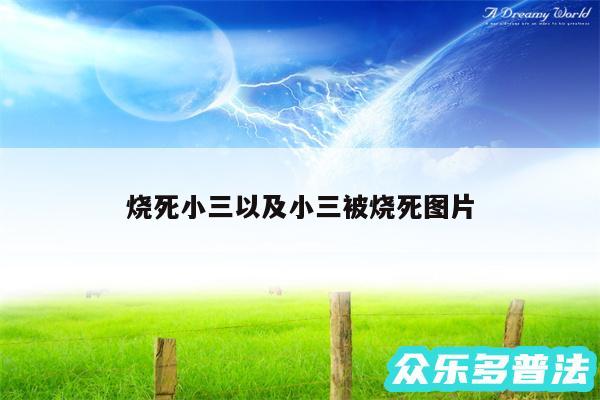 烧死小三以及小三被烧死图片