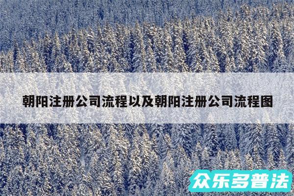 朝阳注册公司流程以及朝阳注册公司流程图