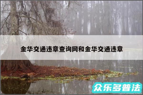 金华交通违章查询网和金华交通违章