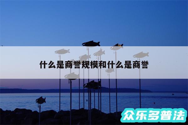 什么是商誉规模和什么是商誉