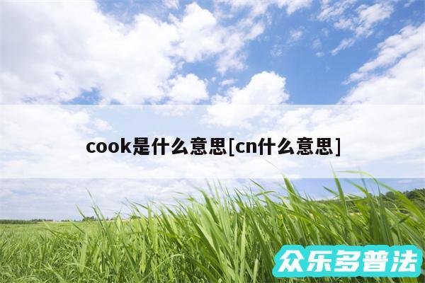 cook是什么意思及cn什么意思