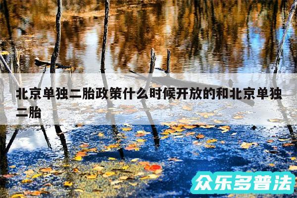 北京单独二胎政策什么时候开放的和北京单独二胎