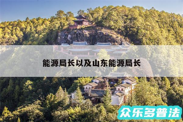 能源局长以及山东能源局长