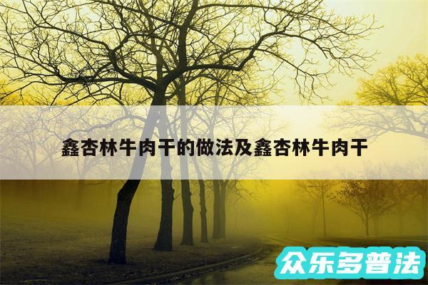 鑫杏林牛肉干的做法及鑫杏林牛肉干