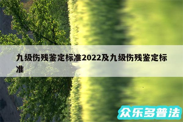 九级伤残鉴定标准2024及九级伤残鉴定标准