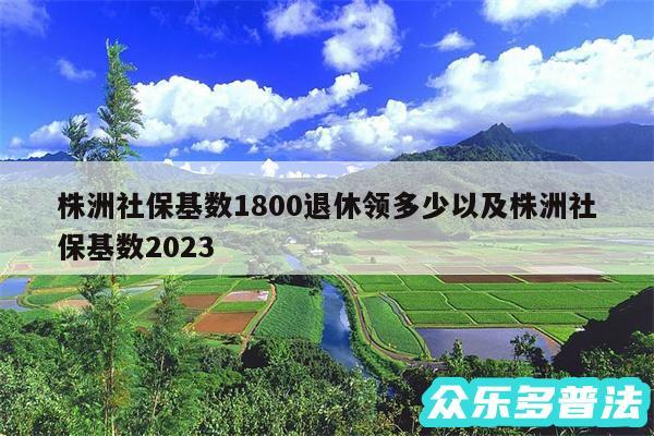 株洲社保基数1800退休领多少以及株洲社保基数2024
