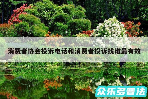 消费者协会投诉电话和消费者投诉找谁最有效