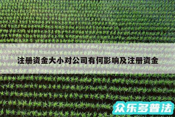 注册资金大小对公司有何影响及注册资金
