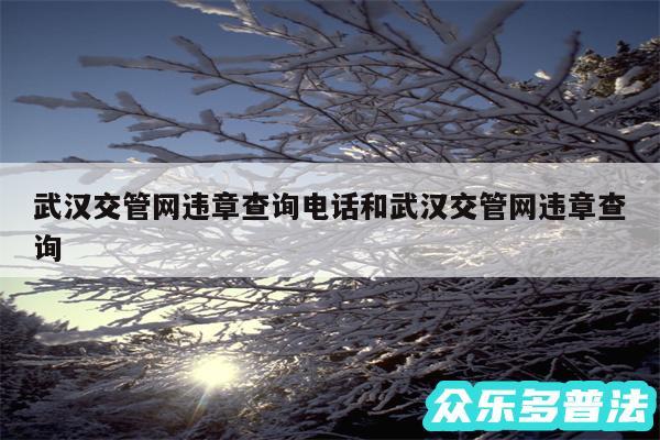 武汉交管网违章查询电话和武汉交管网违章查询