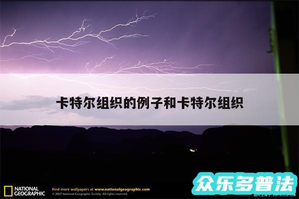 卡特尔组织的例子和卡特尔组织
