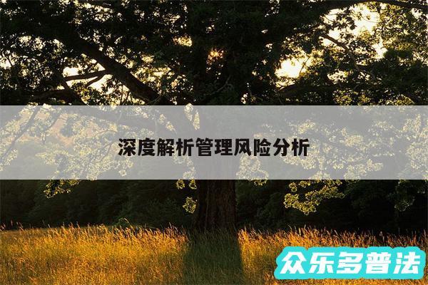深度解析管理风险分析
