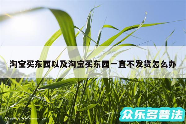 淘宝买东西以及淘宝买东西一直不发货怎么办