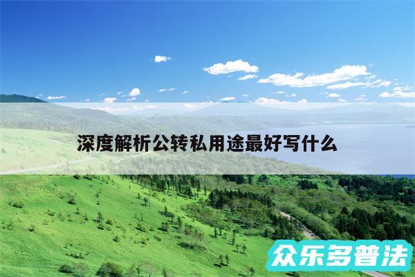 深度解析公转私用途最好写什么