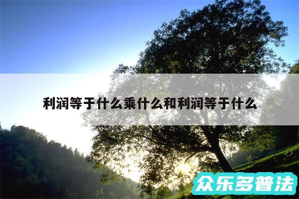 利润等于什么乘什么和利润等于什么