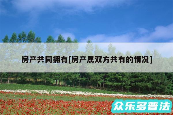 房产共同拥有及房产属双方共有的情况
