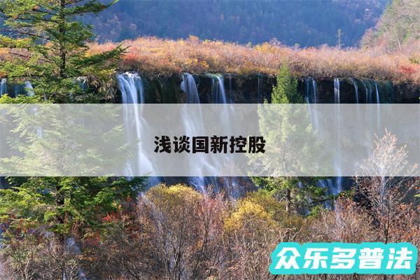 浅谈国新控股