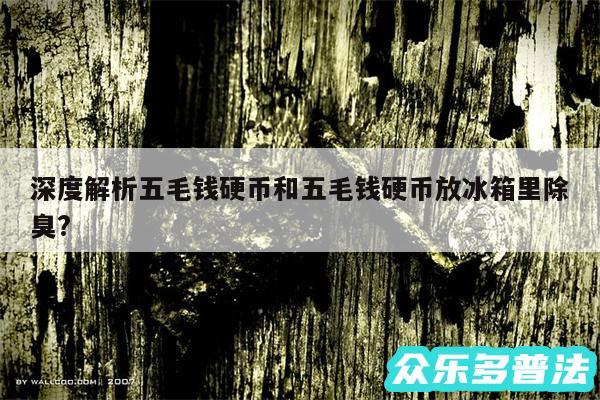 深度解析五毛钱硬币和五毛钱硬币放冰箱里除臭?