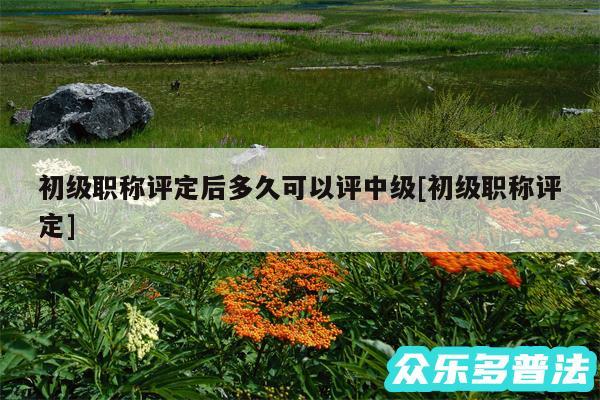 初级职称评定后多久可以评中级及初级职称评定